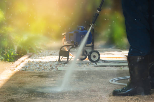 Animal Enclosure Cleaning in St Bonifacius, MN